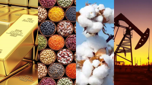 Commodities Provise24